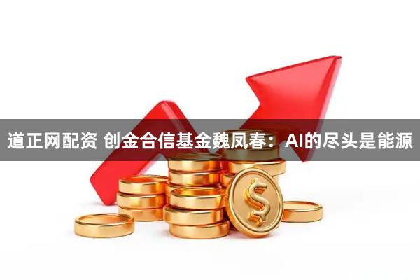 道正网配资 创金合信基金魏凤春：AI的尽头是能源