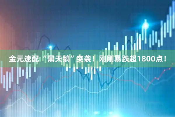金元速配 “黑天鹅”突袭！刚刚暴跌超1800点！