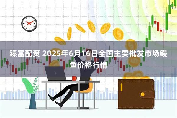 臻富配资 2025年6月16日全国主要批发市场鳗鱼价格行情