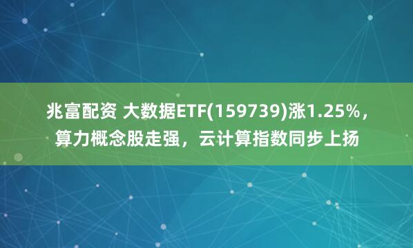 兆富配资 大数据ETF(159739)涨1.25%，算力概念股走强，云计算指数同步上扬