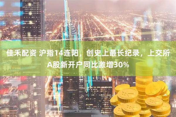 佳禾配资 沪指14连阳，创史上最长纪录，上交所A股新开户同比激增30%
