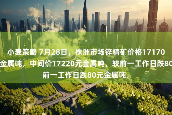 小麦策略 7月28日，株洲市场锌精矿价格17170-17270元金属吨，中间价17220元金属吨，较前一工作日跌80元金属吨。